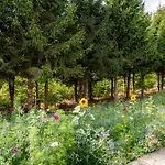 Lodge Nature Village – N°16 – 8 Personnes Bullange