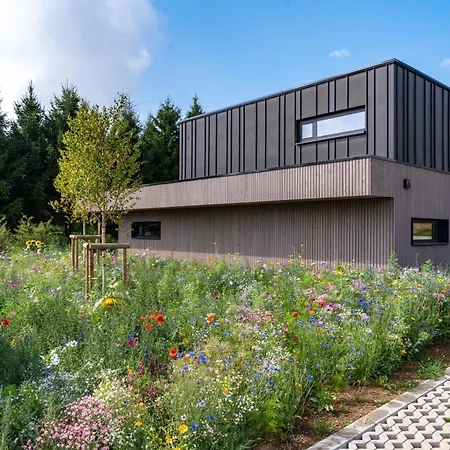 Nature Village - N°16 - 8 Personnes Bullange