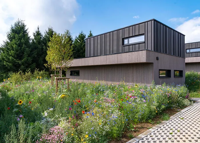 Nature Village - N°16 - 8 Personnes Büllingen