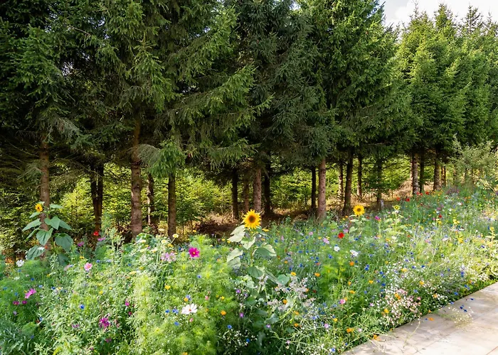Lodge Nature Village - Timberly N°16 - 8 Personnes Avec Jacuzzi Bullange